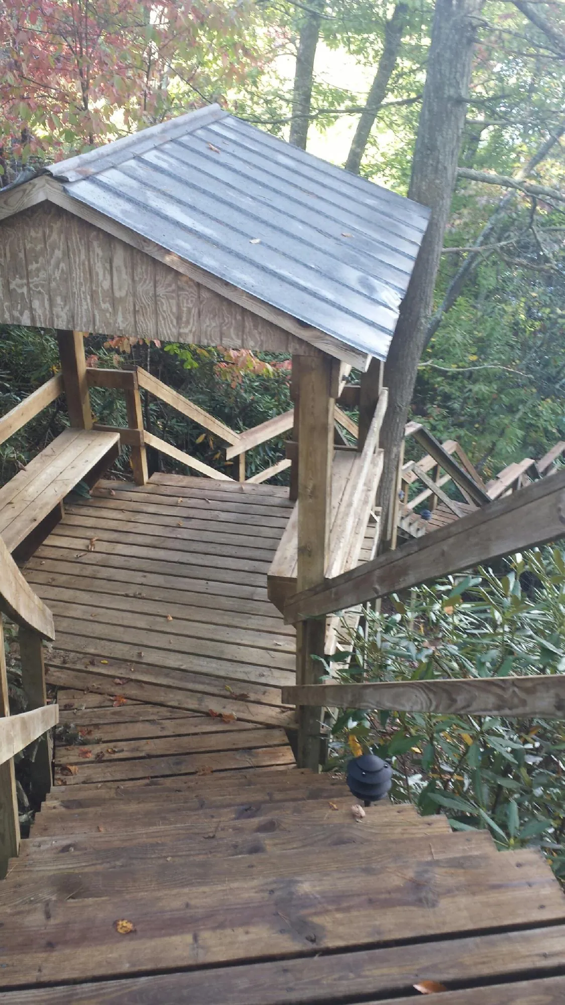 Metal roofed shelter over wooden steps on a wooded walkway — Skylight Repair & Installation work by our crew in Glennville